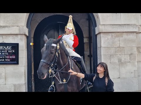 9 rein grabs in 12 minutes no one reads the sign #horseguardsparade