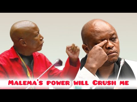 WATCH | Brown Mogotsi raises concern over MPs he says are ready to take him on