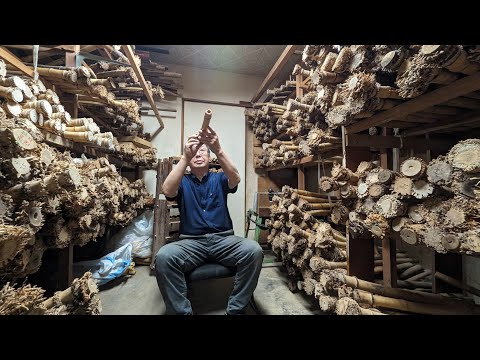 1本の竹から笛を作るプロセス。100年以上続く歴史ある尺八工房。