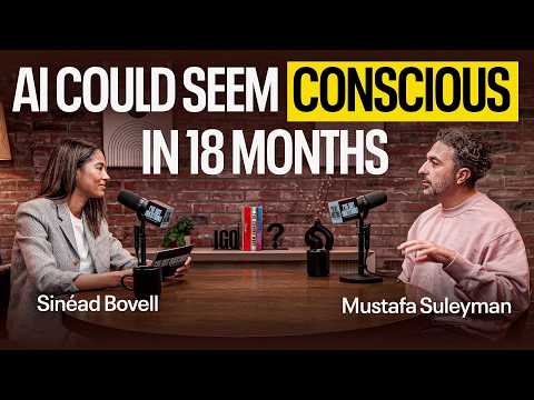 Microsoft AI CEO on AI Consciousness & Artificial Companionship | Mustafa Suleyman