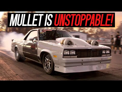 Cleetus & Mullet go DOMINATION MODE at WCF 2022!!