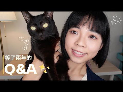 2022 Q&A|為什麼回台灣?職業?|英國行銷碩士畢業後的職涯心得