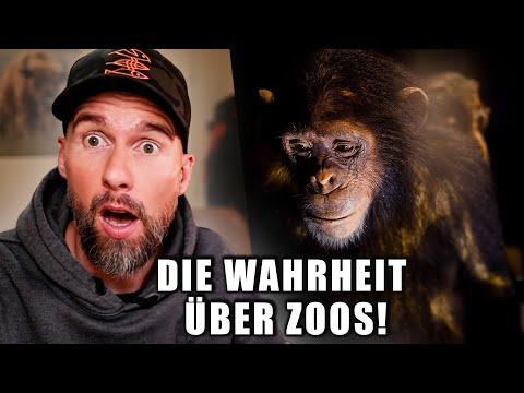 Die ganze Wahrheit über Zoos | Robert Marc Lehmann reagiert
