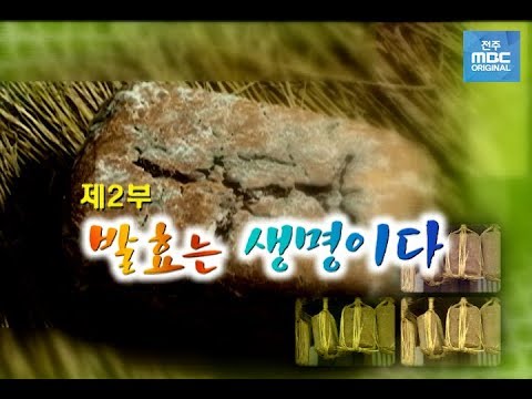 [MBC다큐멘터리] 발효 제2부. 발효는 생명이다