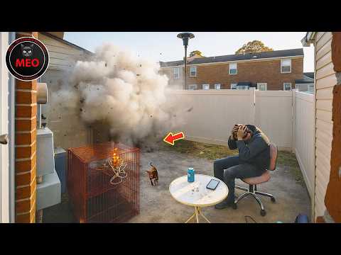 Incredible Moments Caught on Camera  (P192)