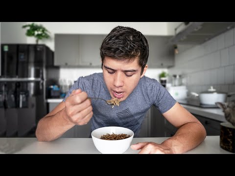 My 6 Rules for a Productive 24 Hours