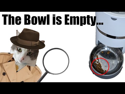 Shadows of Doubt: An Immersive Detective Sim