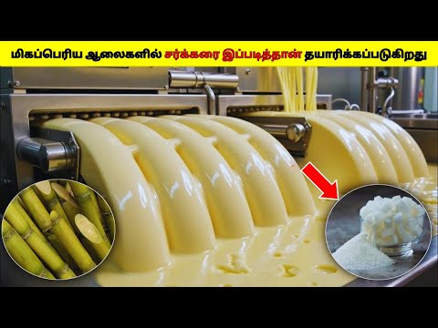 Factory-யில் இப்படித்தான் Sugar தயாரிக்கப்படுகிறது 2025/How Sugar Is Made In Factory In Tamil