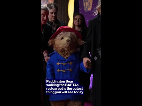 Paddington Bear walking the BAFTAs red carpet is the cutest thing you will see today