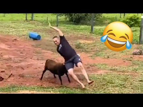 Best Funny Videos Of The Year - Fails & Hilarious Moments 😂🤣 Try Not To Laugh #21