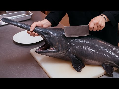 King Fish! Sashimi Cutting Skills – Paddlefish Uniquely Processed | Dishes You’ve Never Tried