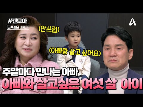 [#캔모아] 천하무적 삼 형제 두 번째 이야기🤩 주말부부를 청산하려는 이상인 부부❤️ 모두를 놀라게 한 둘째 아이의 속마음은?😢| 금쪽같은 내새끼 231회