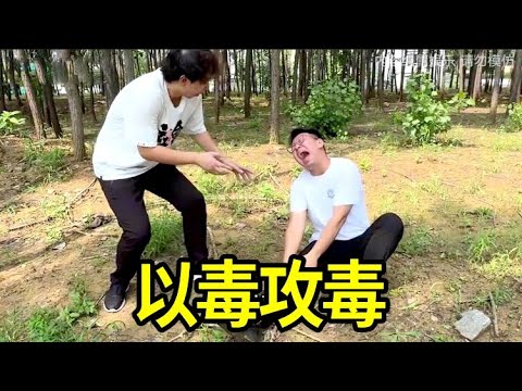 千年毒蛇！小張被蛇咬一口，小李妄想以毒攻毒？#vlog #小李与小手 #搞笑 #沙雕 #funny #爆笑