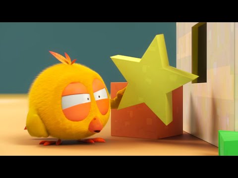 It won't fit, Chicky! | Where's Chicky? | Cartoon Collection in English for Kids | New episodes