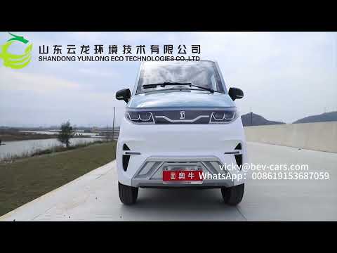 L5 Electric Vehicle from Yunlong Group Electric Car Enclosed scooter