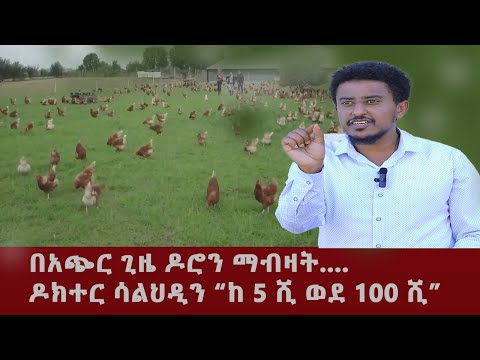 አስገራሚና የማይታመን ስራ !! ከቄብ ዶሮ በወር ከ 100 ሺ  ብር በላይ በዶክተር ሳልሀዲን!!