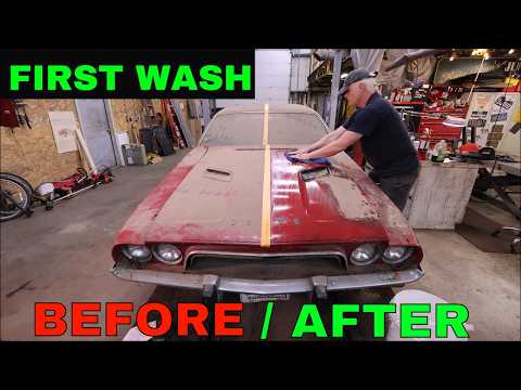 Derelict Mopar From a Barn. Can The Paint Be Saved?