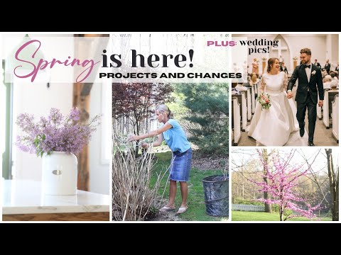 I'm Home! 😊😊 Spring Home Projects ~ Spring Gardening