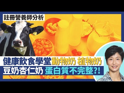 健康飲食學堂｜動物奶植物奶小百科！豆奶杏仁奶蛋白質不完整人體難吸收？！註冊營養師不建議小朋友飲米奶？｜王建芳醫生 註冊營養師李天慧｜人類健康研究所