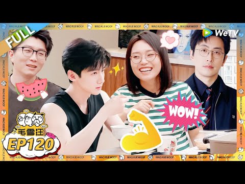 第120期加更：白敬亭为拍戏专门学东北话！ |《毛雪汪》 FULL #综艺 #毛雪汪 #李雪琴 #毛不易 #白敬亭