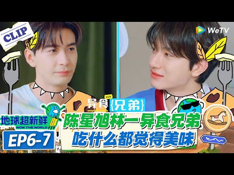 【地球超新鲜】6-7：陈星旭林一化身 “异食兄弟”，嚼羊脑说 “像豆腐”，遭吐槽 “没味觉”！#地球超新鲜 #孙红雷 #李乃文 #陈赫 #刘宇宁 #龚俊 #陈星旭 #王玉雯