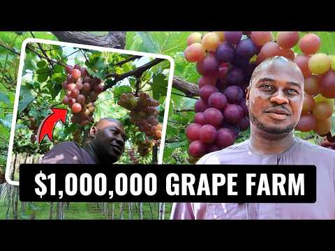 They Laughed at His Grape Farm Idea — Until He Made $1 Million