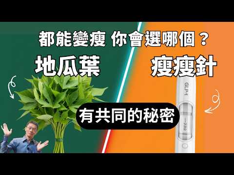 「瘦瘦針 vs 地瓜葉」減肥對決！GLP-1 瘦身原理、地瓜葉功效、控制食慾祕密，一次說清楚！｜初日診所 陳威龍醫師 ft.小花藥師｜好吃地瓜葉料理法