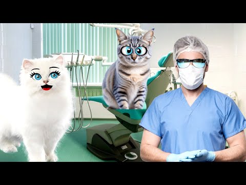 У Чика есть ТАЙНА!  А Кошки СПАСИЛИ его от ВРАЧА!