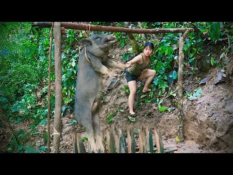 Detect traces of wild boars, immediately set traps to catch them, build new shelters, survival alone