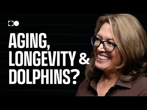 The Science of Aging Well: What Dolphins Can Teach Us About Human Health | Dr. Stephanie Venn-Watson