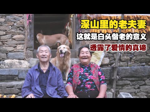 原来这就是白头偕老的意义，老夫妻的一句话，透露了爱情真谛！【小白的奇幻旅行】