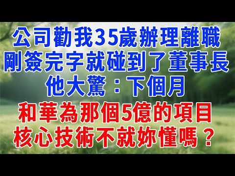 公司勸我35歲辦理離職，剛簽完字就碰到了董事長，他大驚：下個月和華為那個5億的項目，核心技術不就妳懂嗎？#人生感悟 #故事分享 #故事頻道 #打脸 #生活經驗 #原创视频