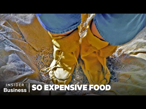 Why Manoomin Wild Rice Is So Expensive | So Expensive Food | Business Insider