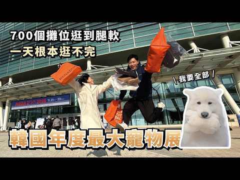 "Sorry, my money..." Korea's largest annual pet expo! 700 booths to explore until your legs are s...