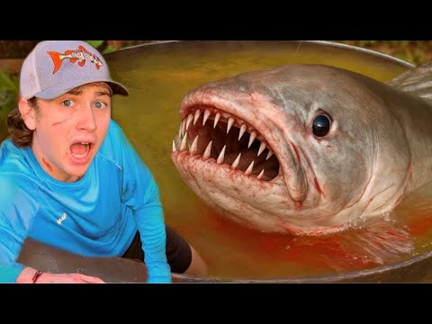 Ich habe das Monster erwischt, das meine Fische angreift!