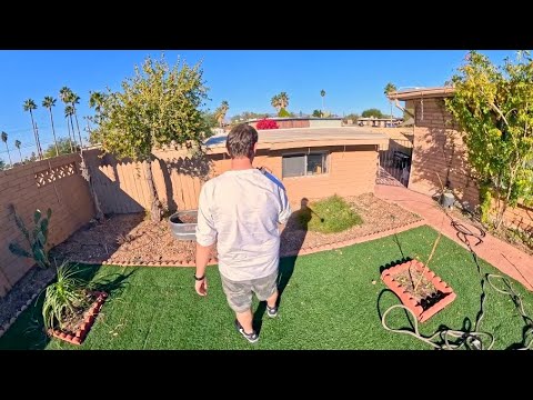 Workshop-Shed built into the ground in Backyard🌴.