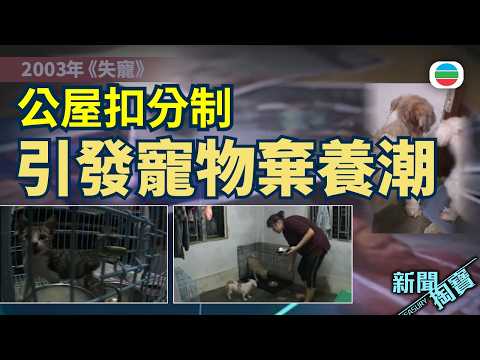 新聞掏寶|公屋扣分制引發棄養潮 愛協一個月接收1300隻棄養動物|香港歷史片段|無綫新聞 TVB News