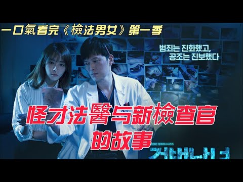 韓國檢察官故事 | 一口氣看完《#檢法男女》第一季