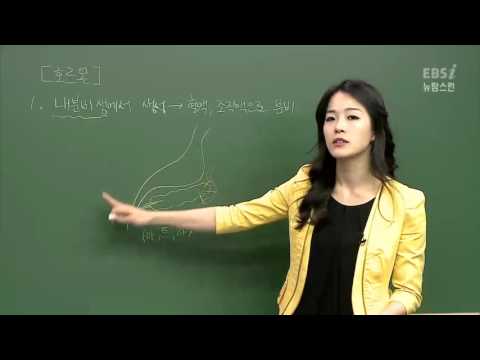 [뉴탐스런 생명과학 I] 40강 항상성 유지(1)