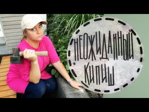 6. Secrets of replanting🍀Raised flowerbed🍀 Distance between plants🍀 What is my profession?🍀