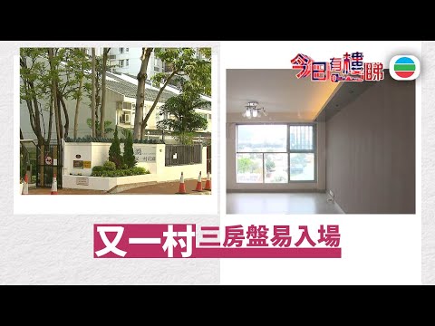TVB今日有樓睇｜2025年11月24日｜二手交投理想　又一村三房盤易入場｜樓市｜樓盤