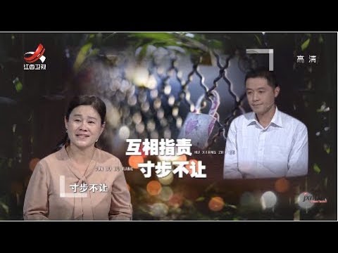 《金牌调解》妻子指责丈夫“失职” 两口子性格迥然欲离婚 20180701 [720P版]
