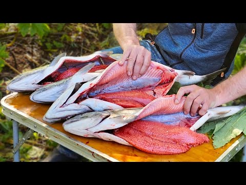 ЭТО ШОК! ГОРЫ КРАСНОЙ ИКРЫ. ЩЕДРАЯ РЫБЫЛКА НА КАМЧАТКЕ