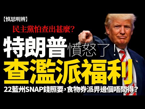 特朗普怒斥SNAP食品券風波！兩法官判決矛盾？聯邦與州信任危機全面爆發
