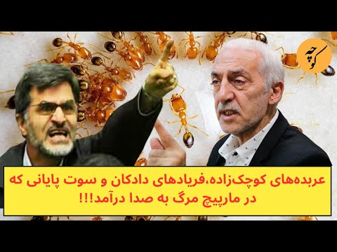 عربده‌های کوچک‌زاده،فریادهای دادکان و سوت پایانی که در مارپیچ مرگ به صدا درآمد!!!