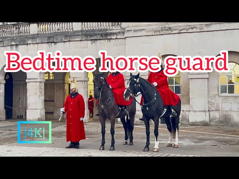 Horse guard during sleep🛏️🛏️