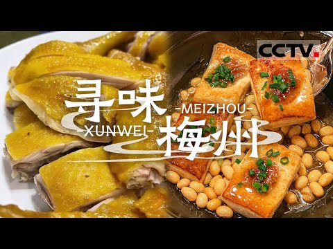 酿豆腐 鱼头煮粉 盐焗鸡 来梅州 一定要尝尝这些梅州地道客家特色美食 这可是梅州人心心念念的味道！——寻味梅州【CCTV纪录】
