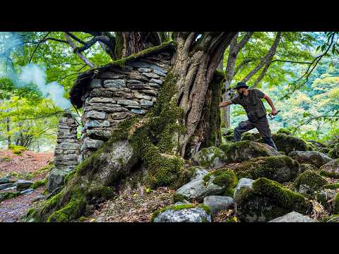 Cozy Cabin Between Trees – Clay Stove & Campfire Food