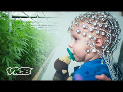 Can Weed Help Kids with Autism? | WEEDIQUETTE