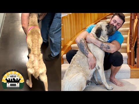 Mildred's one year transformation has left me speechless | The Asher House